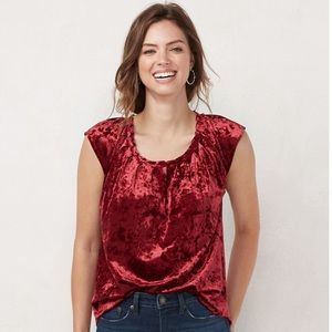 LC Lauren Conrad Velvet Top